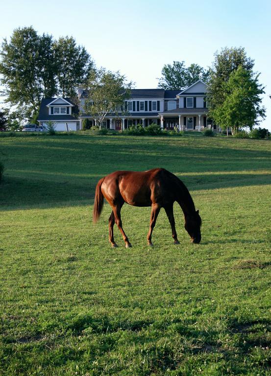 The Inn At Westwynd Farm Hershey Amenities photo
